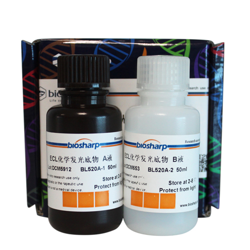 ECL化学发光底物 biosharp实验室专用